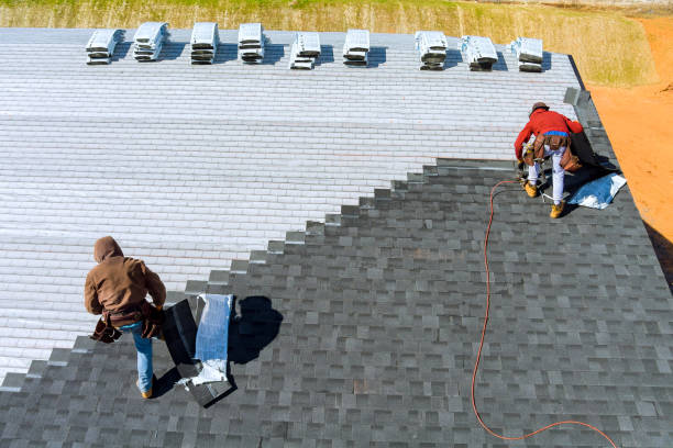 Best Roof Gutter Cleaning  in Ely, IA